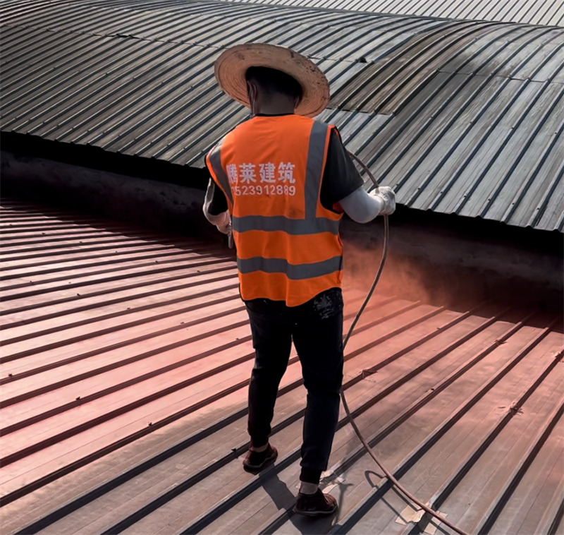 ���������������P�F������